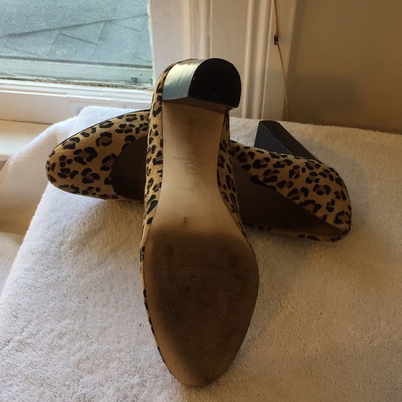 Ann Taylor suede leopard print pumps - Picture 3 of 5